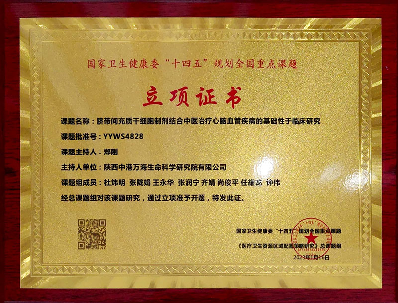 立项-脐带间充质干细胞