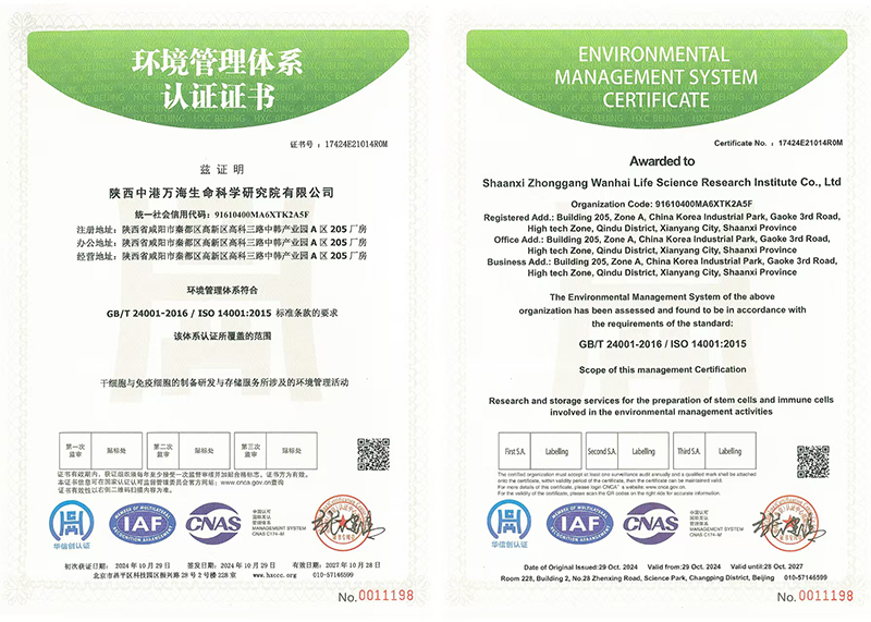 环境管理体系认证证书