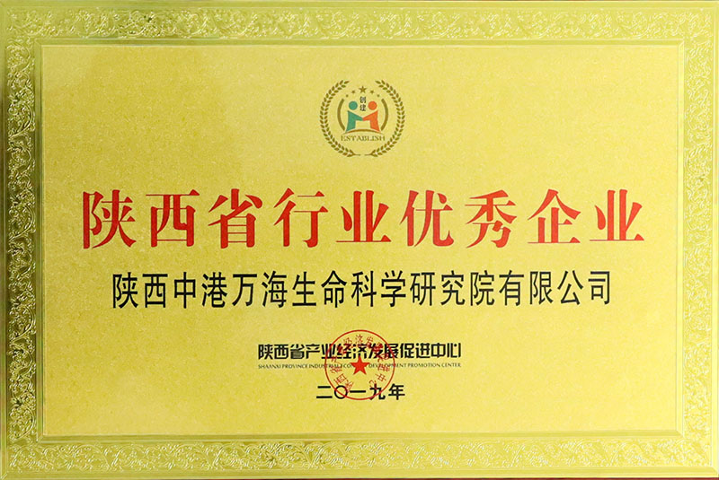 陕西省行业优秀企业
